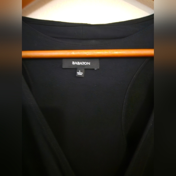 Babaton Micah Dress - Picture 2 of 4